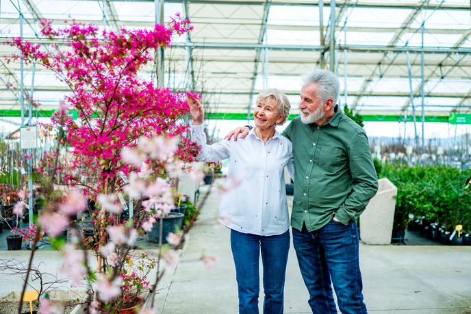 Eurogarden, Rotar in Ramda | Foto Eurogarden, Rotar in Ramda