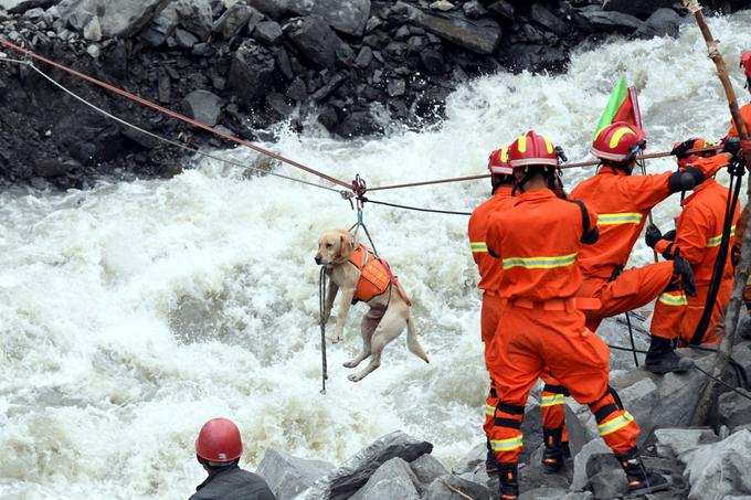 Kitajski reševalci na varno vlečejo psa, ki je po zemeljskem plazu v vasi Šinmo ostal ujet na skalah sredi deroče vode, junij 2017. | Foto: Reuters