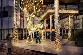 Največji jelenček v Evropi bo letošnji december preživel v Celju