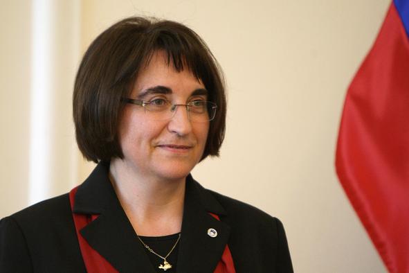 "Prihaja več migrantov, ki so bolj nasilni in nespoštljivi do evropskih vrednot"