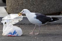 plastični odpadki