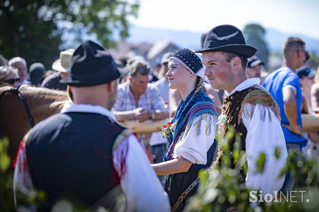 Posavsko štehvanje