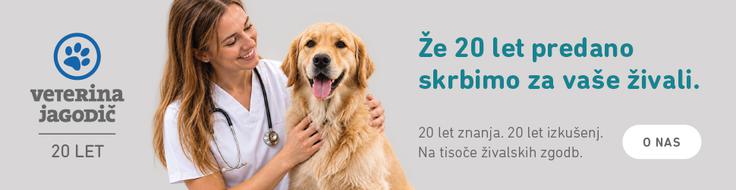 Veterina Jagodič | Foto: Veterina Jagodič