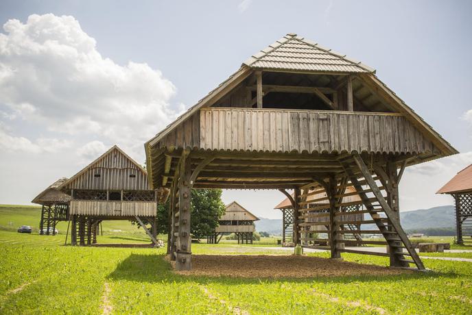 Afganistanci so mislili, da so to avtobusna postajališča