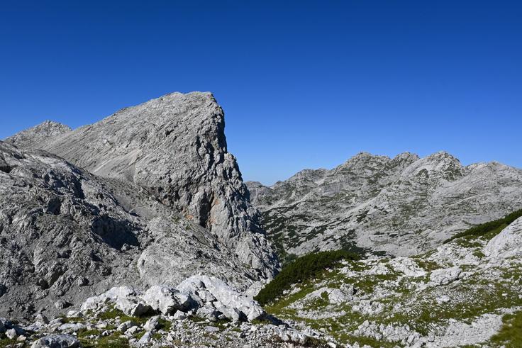 Pogled nazaj na Zelnarici in Lepo Špičje | Foto: Matej Podgoršek
