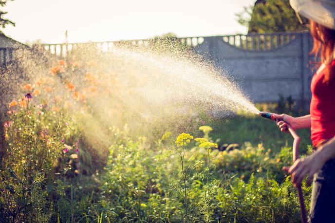 zalivanje vrta | Foto Shutterstock