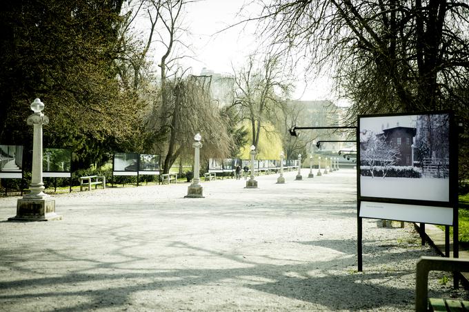 park ljubljana 2020 | Foto: Ana Kovač
