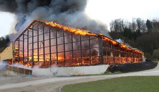 Velik požar blizu slovenske meje usoden za več konj #foto #video