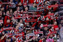 Kölner Haie