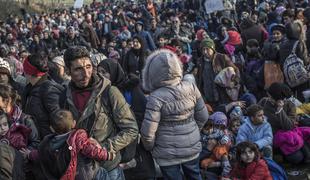Avstrija zavrnila 413 migrantov, ker so lagali o svojem državljanstvu