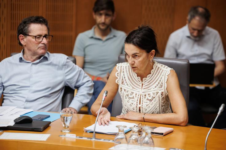 Metka Pešl Šater | Foto: STA