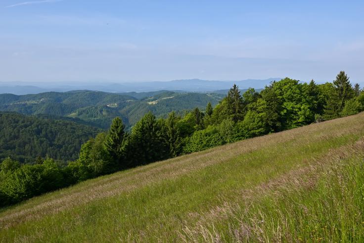 Na vrhovih in pešpoteh na vzhodnem robu MOL bomo našli mir in samoto. | Foto: Matej Podgoršek