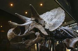 V Argentini odkrili ogromno stranišče dinozavrov
