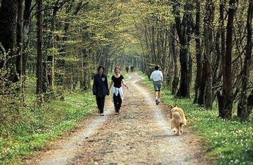 Na festival vrtnic