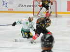 Hdd Jesenice