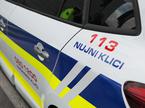slovenska policija