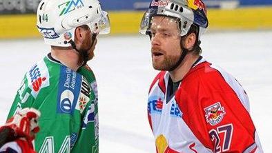 R. Royer: Med navijači in igralci Olimpije je "kemija"
