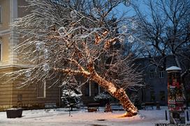 sneg, zima, Hrvaška