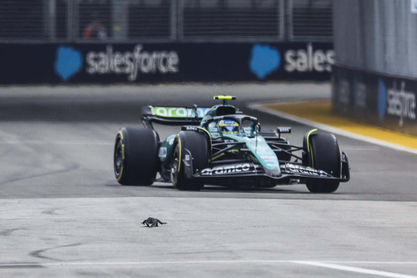 Fernando Alonso se afastou bem e o lagarto atravessou a pista vivo. | Foto de : Gulliverimage