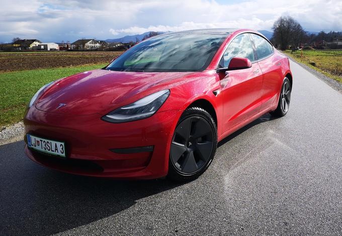 Tesla je letos v Slovenijo dostavila že 93 modelov 3. Med električnimi vozili trenutno ta tesla nima tekmeca. | Foto: Gregor Pavšič