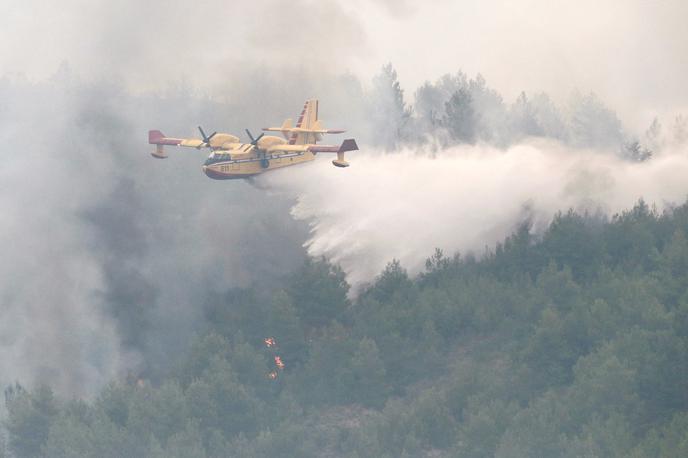 hrvaška, požar, kanader, letalo za gašenje | Hrvaška je imela lani na začetku sezone požarov na voljo zgolj tri kanaderje, letos jih bo imela pet.  | Foto Reuters