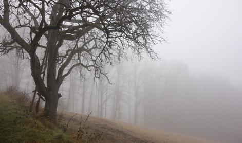 Jutri ponekod vendarle bolj zimsko