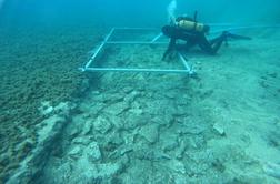 Pod morjem odkrili 7.000 let staro cesto