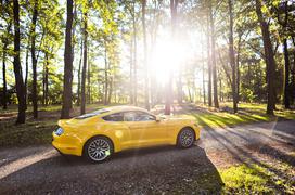 Ford mustang V8 5,0 - fotogalerija testnega vozila