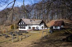 Družinski pohod, po snegu ali blatu, na Čemšeniško planino #video