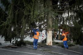 Novoletna smreka v Ljubljani Prešernov trg