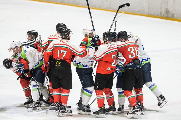 Slovenija Madžarska pripravljalna tekma hokej | Foto Vid Ponikvar