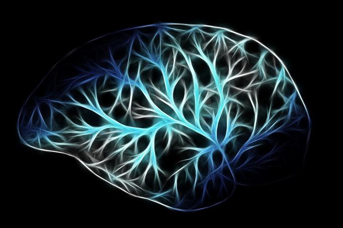 Kljub velikemu napredku znanosti ostaja še vedno mnogo neznanega o možganih, njihovem delovanju in motnjah delovanja.
 | Foto: Pixabay