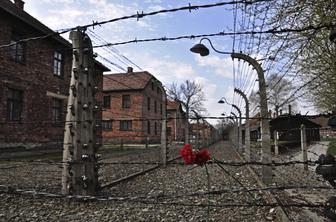 Britanska najstnika pridržali zaradi kraje v Auschwitzu