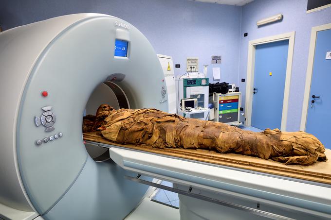 Računalniška tomografija lahko dokončno potrdi predvidevanja znanstvenikov. | Foto: Reuters