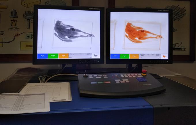 Rentgensko skeniranje trupla.  | Foto: DOPPS -Društvo za opazovanje in proučevanje ptic Slovenije