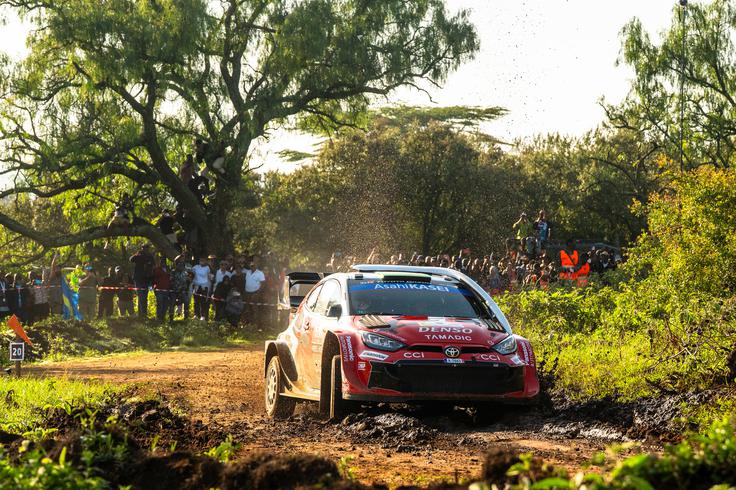 Elfyn Evans | Foto: Red Bull Content Pool