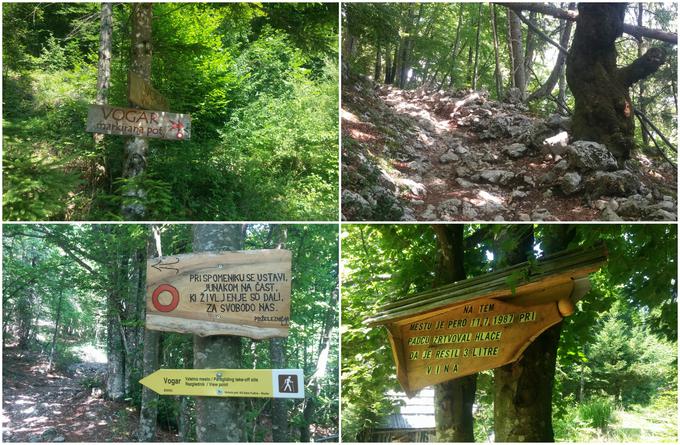 Za vzpon na planino Vogar lahko izbirate med markirano in nemarkirano (zahtevnejšo) potjo, ki se v gozdu združita. Podlaga je večinoma kamnita, bodite pozorni pri sestopu. Rezervirajte si dobro uro ali raje uro in pol za pot navkreber. | Foto: Alenka Teran Košir