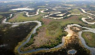 Baročna delta reke Okavango