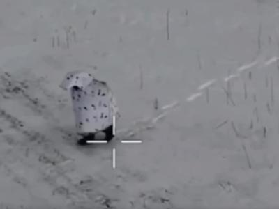 Kamuflaža Putinovih vojakov: skrivanje v preobleki pingvina #video