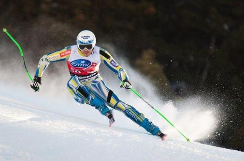 "Alpinci" še naprej zbirajo podpise