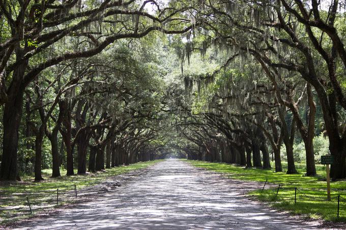 Savannah, Georgia, ZDA - za plitvejše žepe | Foto: Pixabay