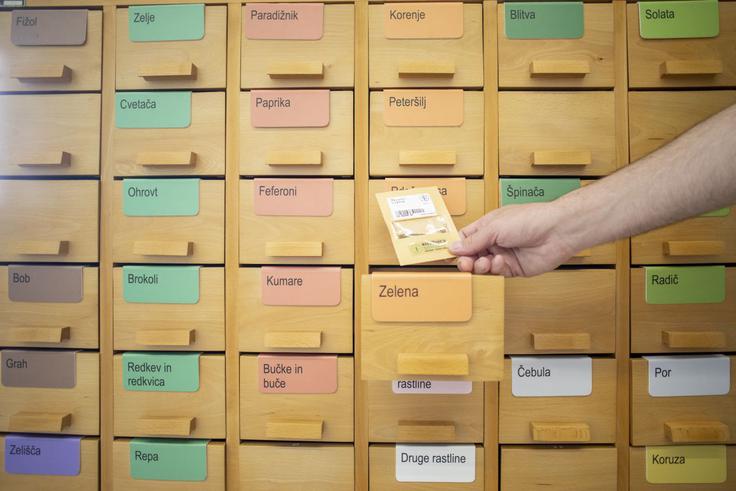 Slovenski projekt občanske znanosti Knjižnica semen je eden od načinov ohranjanja biotske pestrosti kulturnih rastlin, ki temelji na brezplačni izmenjavi semen. | Foto: Mreža občanske znanosti