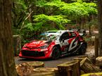 Elfyn Evans Toyota