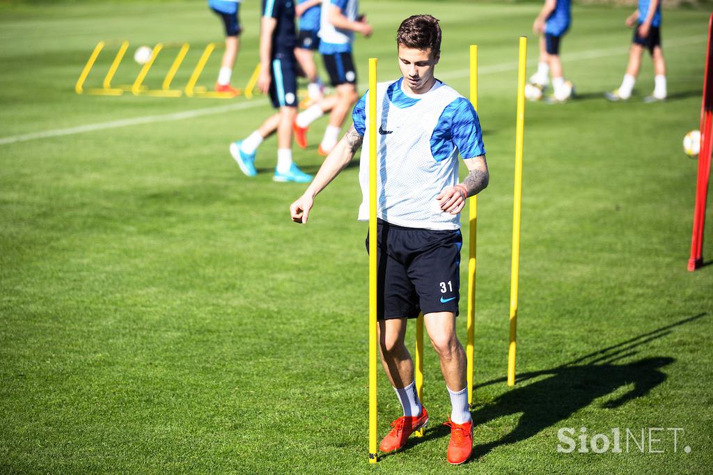 slovenska nogometna reprezentanca, trening