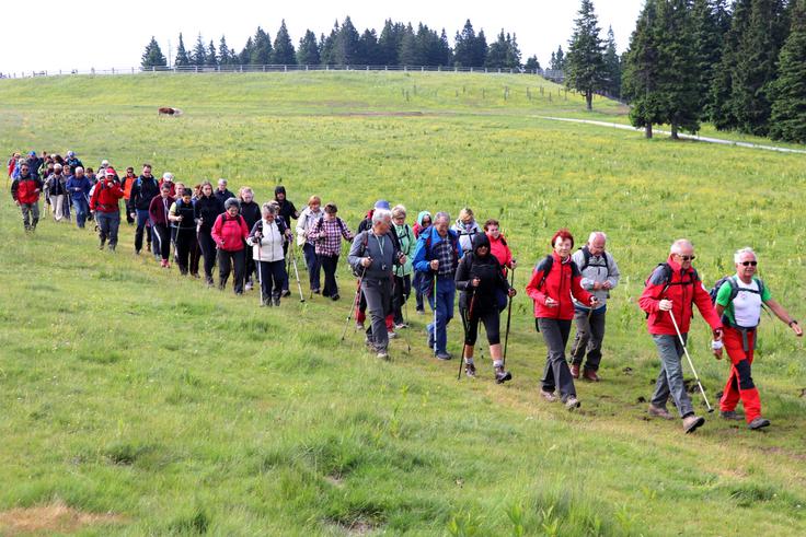 Udeleženci dogodka so se v družbi planinskih vodnikov lahko odpravili na več lokacij. Največ se jih je odločilo za obisk Lovrenškega jezera, številni so se odpravili na pohod po Škratovi učni poti in se povzpeli na razgledni stolp. | Foto: Manca Čujež