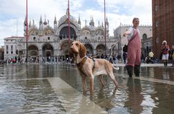 To naredijo v poplavljenih Benetkah, da si ne zmočijo nog #video #foto