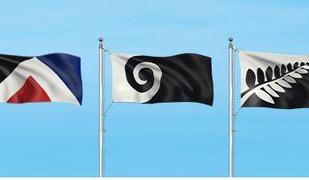 Novozelandci za zastavo s praprotjo in zvezdami