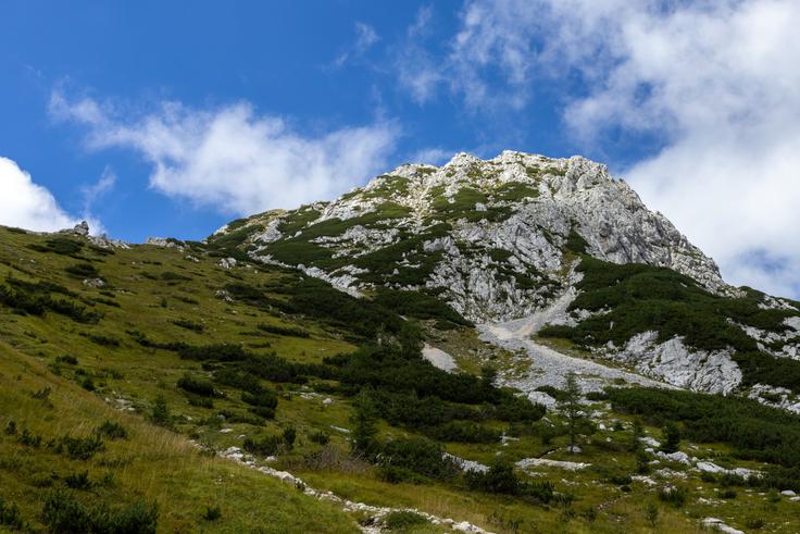 Spustimo se s Srenjskega prevala pod Malim Draškim vrhom in nadaljujemo po Kačjem robu, torej po vzhodnem pobočju Viševnika. | Foto: Matej Podgoršek