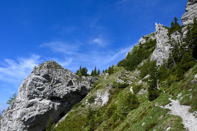 Pohod po grebenu Olševe, malo gor malo dol ... Stezica je ozka, ponekod precej izpostavljena. | Foto: Matej Podgoršek