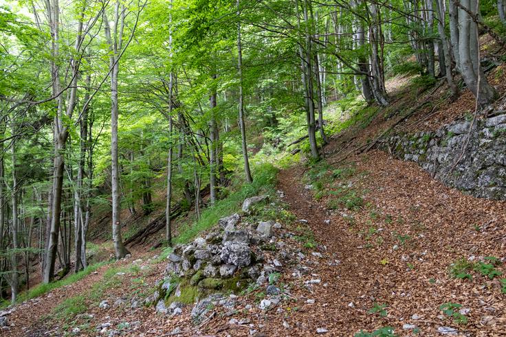 Na pešpoteh, po vlakah in mulatjerah v Baški grapi ta konec tedna poteka PTRF. | Foto: Matej Podgoršek